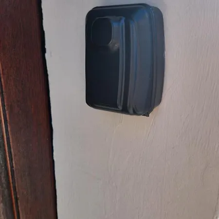 A Garden Near The Stadium Turin